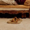 Arpoador Süet Çadır Konyak Arpoador Süet Çadır Konyak
